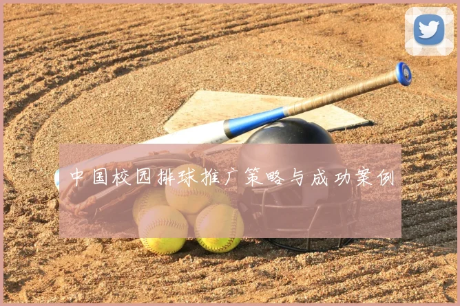 中国校园排球推广策略与成功案例